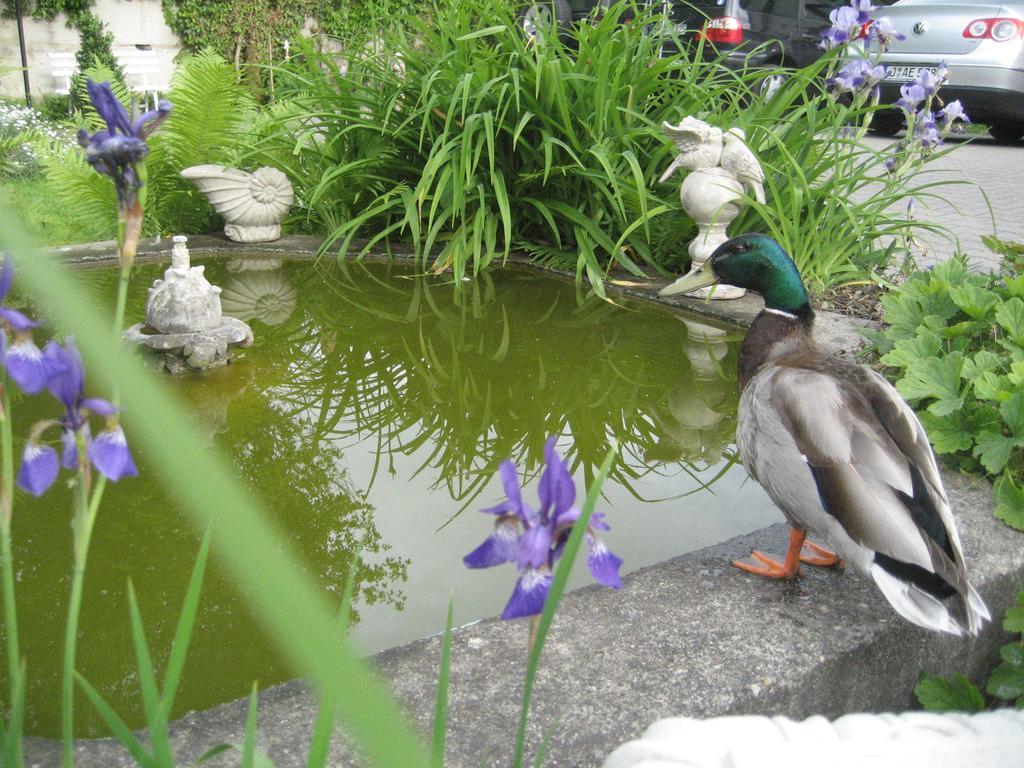 Hotel Schlossgarten Am Park Von Sanssouci
